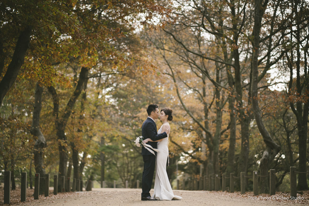 Melbourne Pre wedding DM 51 - Pre-Wedding Photoshoot | The Comprehensive Guide