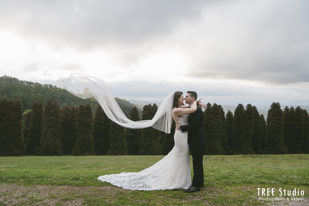 Lyrebird Falls AR 65 - How To Organise A Smooth Wedding In Dandenong Ranges