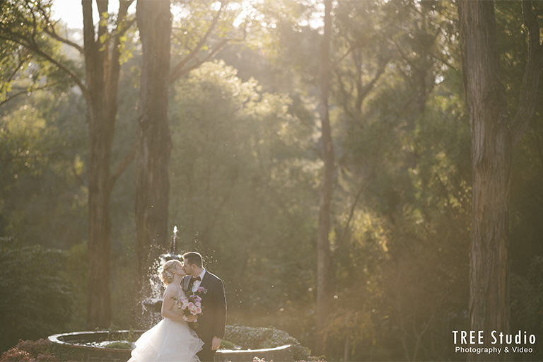 Avalon Castle DK 1 - How To Organise A Smooth Wedding In Dandenong Ranges