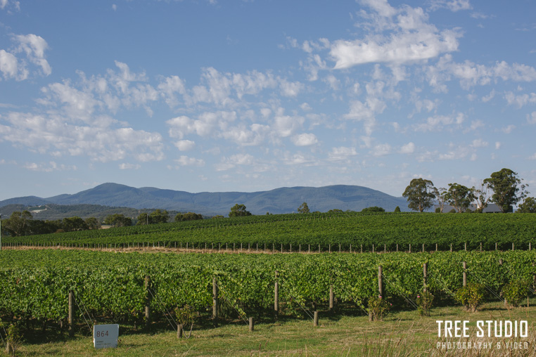 oakridgewines wedding JA 12 - 13 Beautiful Wedding Venues In The Yarra Valley (Part1)