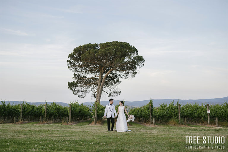 Stones of the Yarra Valley Wedding Photography KA 2 - Kelly & Alan's Wedding Photography @ Stones of the Yarra Valley