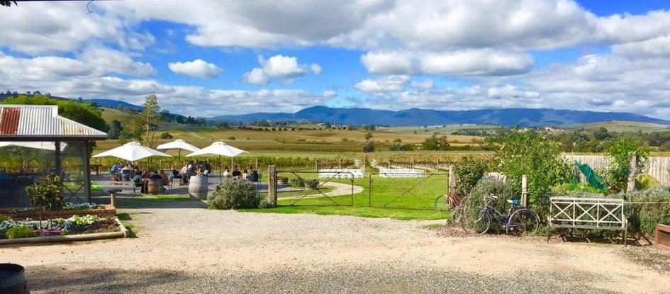 Acacia Ridge Winery - 13 Beautiful Wedding Venues In The Yarra Valley (Part1)