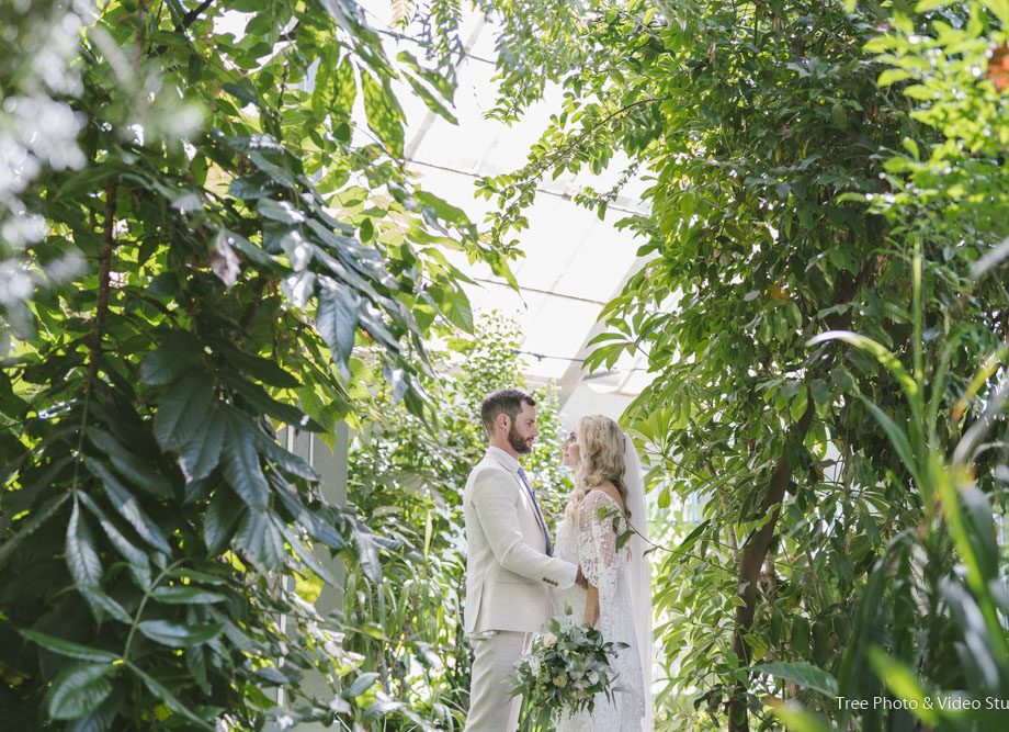 St Kilda Botanical Garden Wedding Photography 1 920x667 - Wedding Location - St Kilda Botanical Gardens