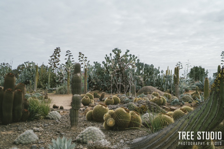 Cactus Country Wedding - 5 Wedding Locations for Rustic Wedding Photography in Melbourne