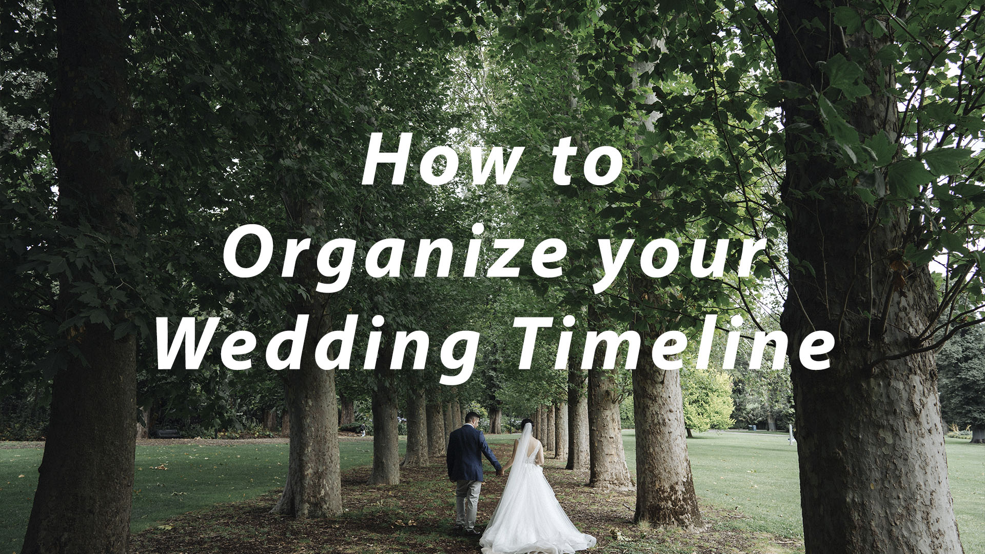 wedding timeline